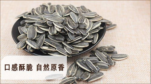 新貨特價 內蒙炒貨原味香瓜子批發(fā)散裝5斤 2斤干炒五香焦糖零食